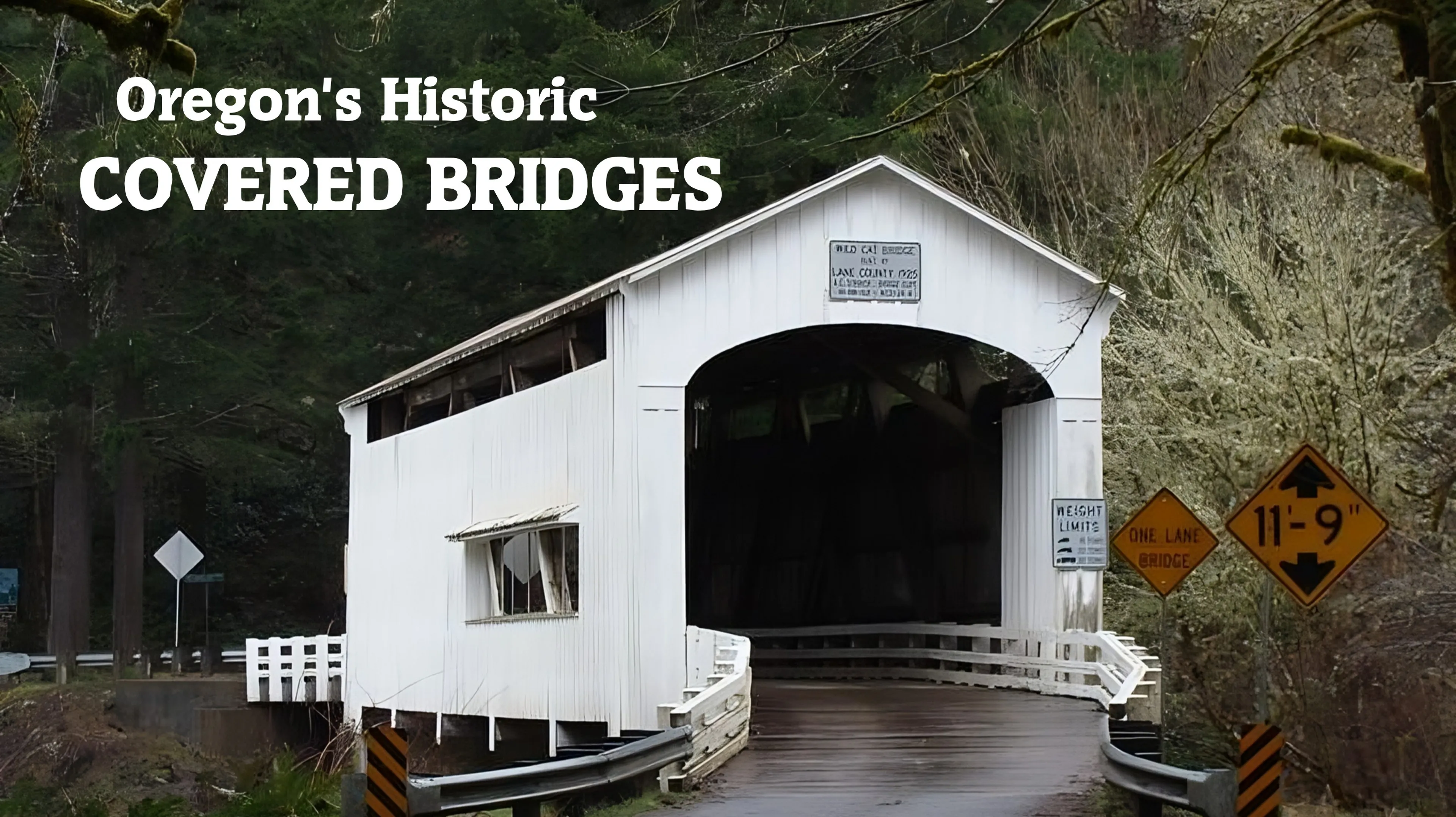 Oregon's Historic Covered Bridges poster